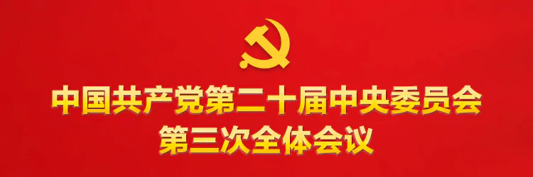 学习贯彻习近平总书记在省部级专题研讨班开班式上的重要讲话精神（2024年10月29日）