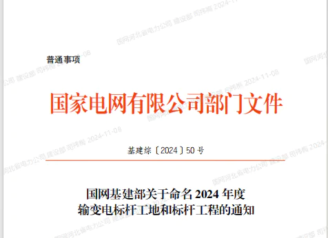 瑞安公司：济宁金乡杨庄110千伏变电站工程荣获 国家电网公司“2024年输变电标杆工程”